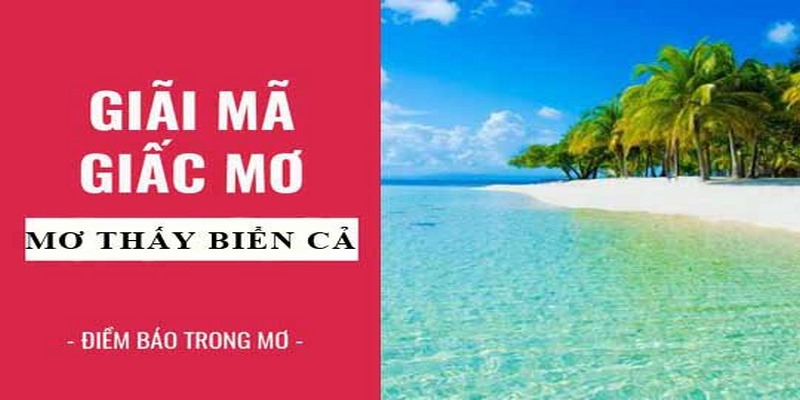 Giải mã các tình huống mơ thấy biển