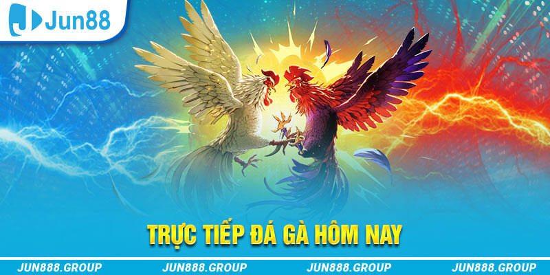 Giới thiệu về trực tiếp đá gà hôm nay Jun88