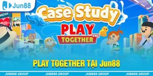 Sơ lược về game Play Together