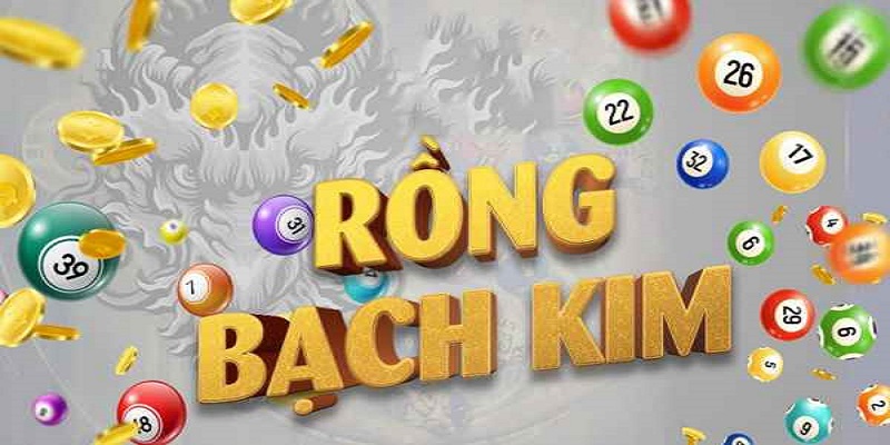 Rồng bạch kim 666 là gì?